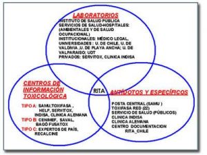 rita-chile-servicios-recomendaciones-internacionales